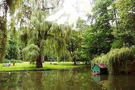 Park w Żywcu